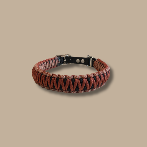 Collier pour chien Cobra