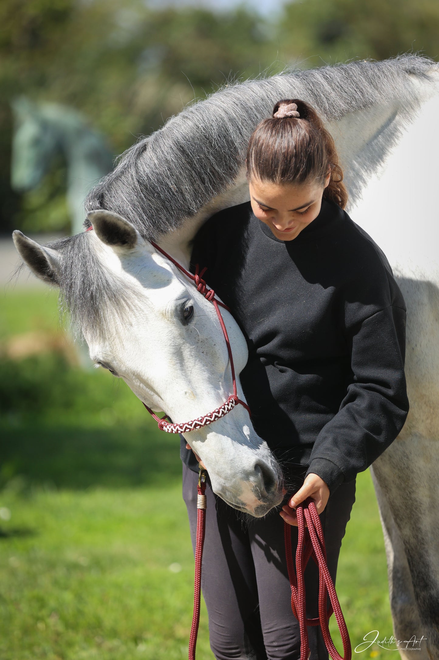 Licol tressé Feel (personnalisable)