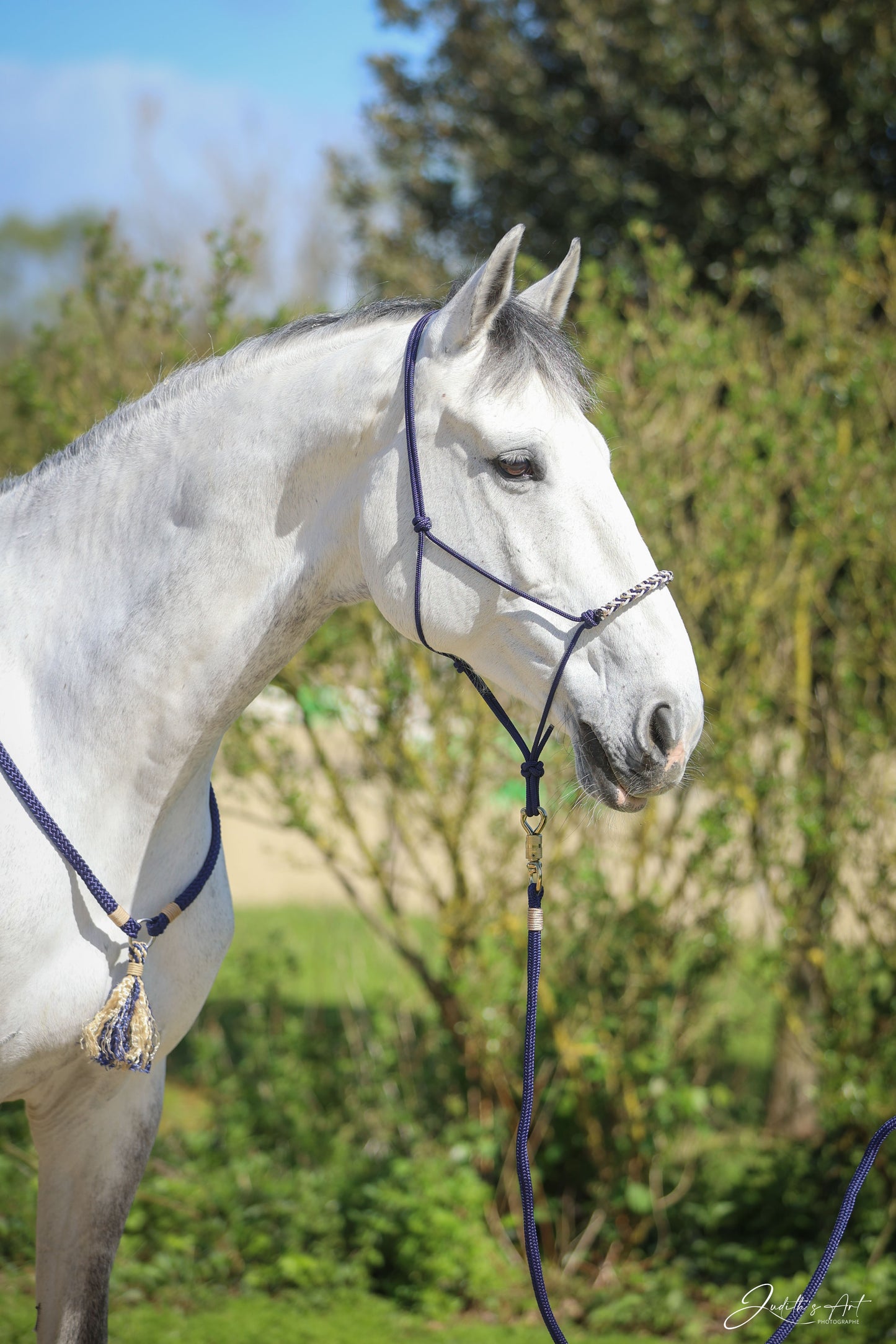 Cordelette complexe Feel