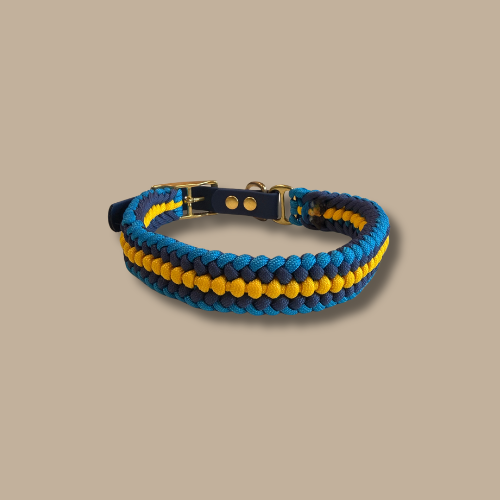 Collier pour chien Lilli