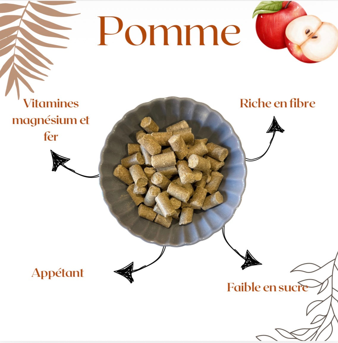 Dada plaisir - Pomme