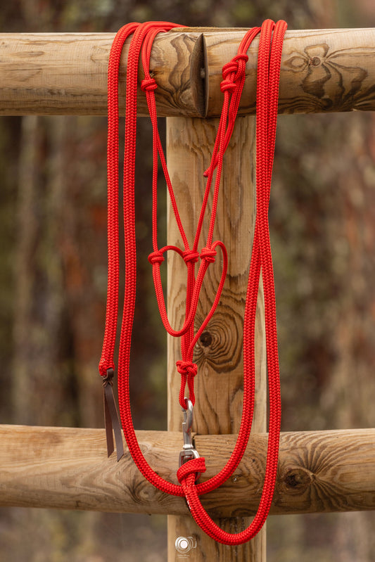 Pourquoi le choix de votre matériel éthologique change tout dans votre relation avec votre cheval