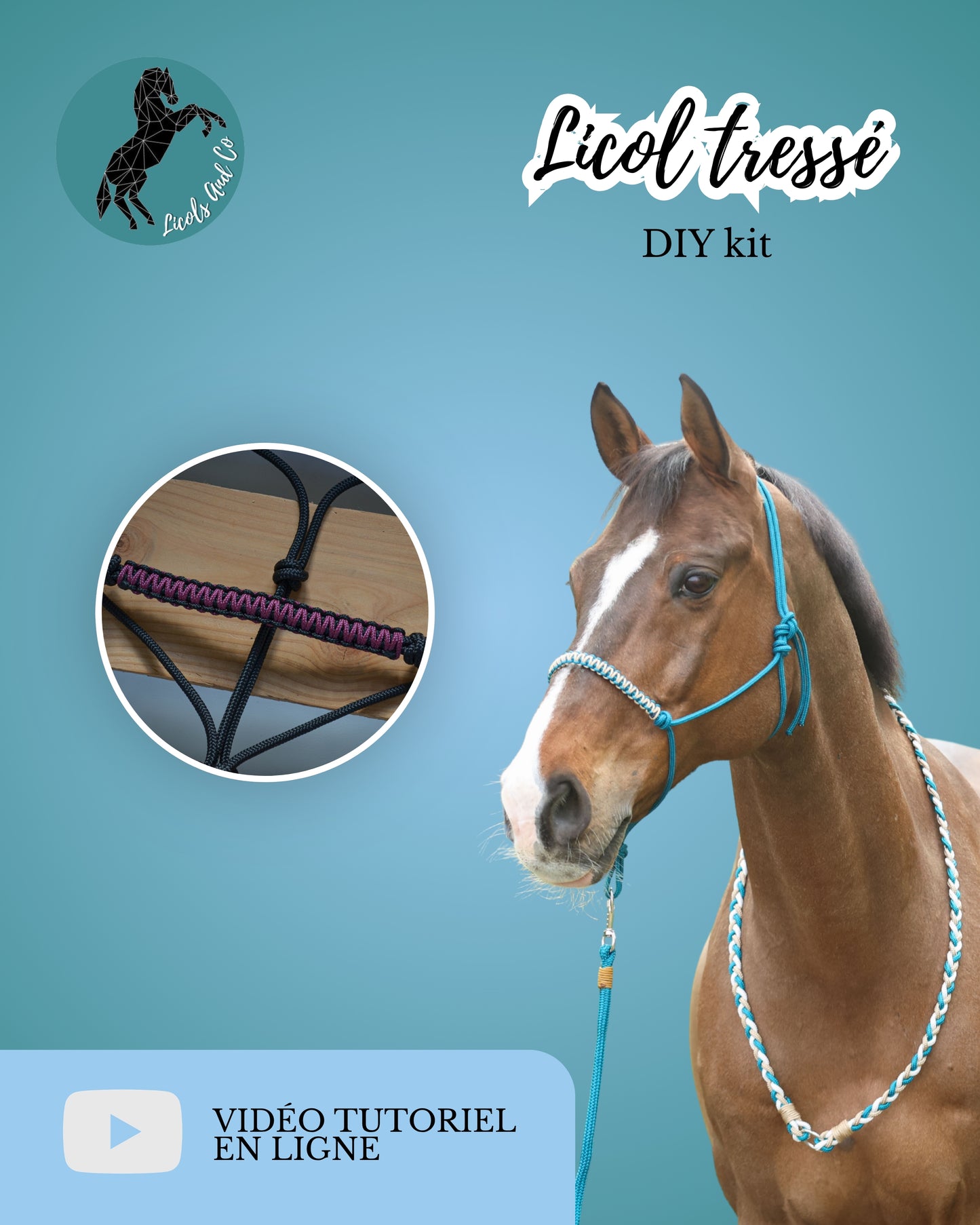 DIY kit tressage de licol