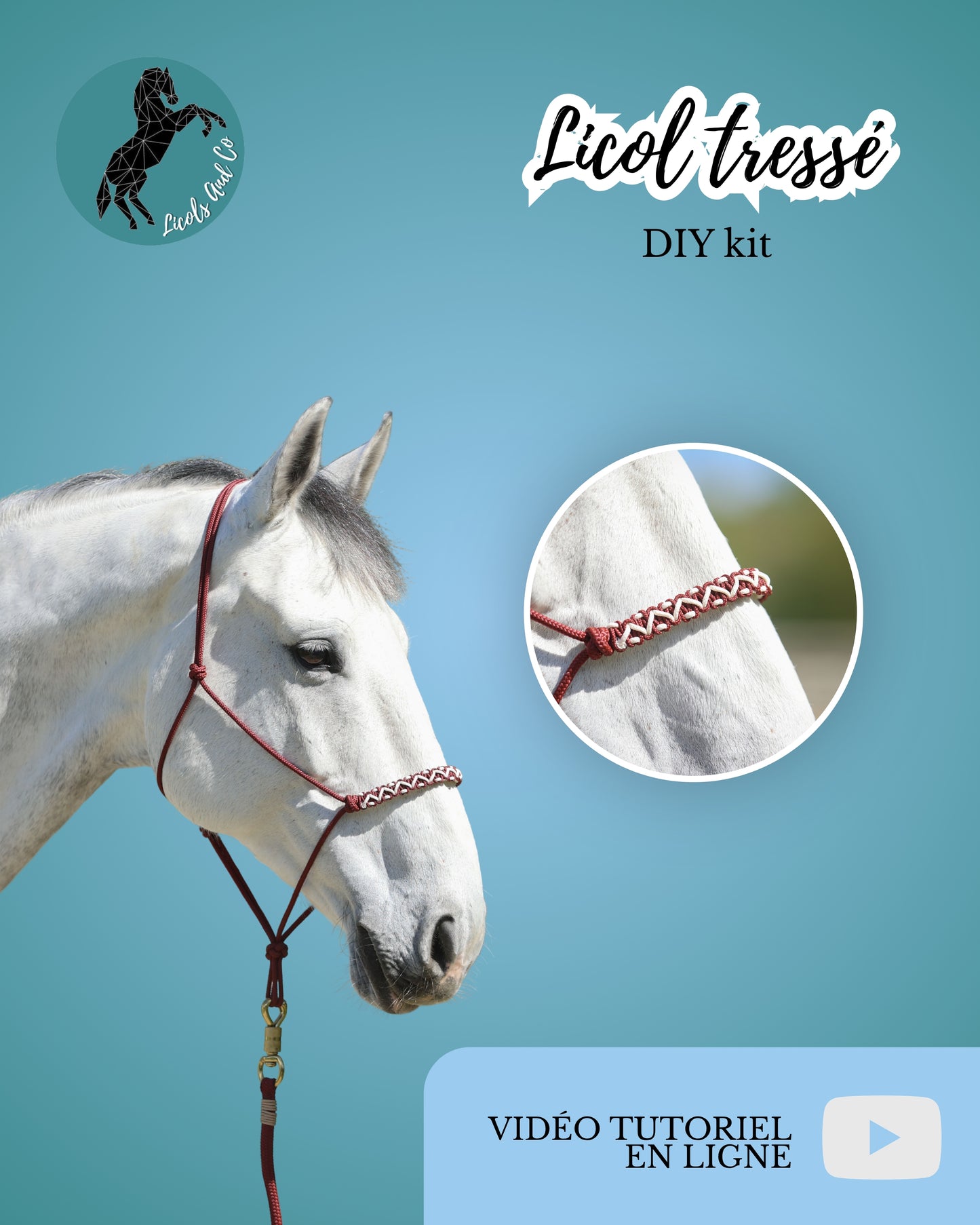 DIY kit tressage de licol
