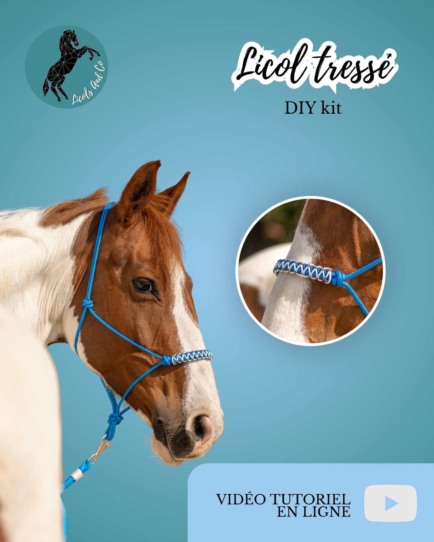 DIY kit tressage de licol