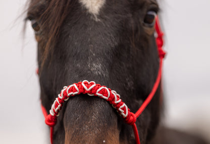 Licol Feel St Valentin