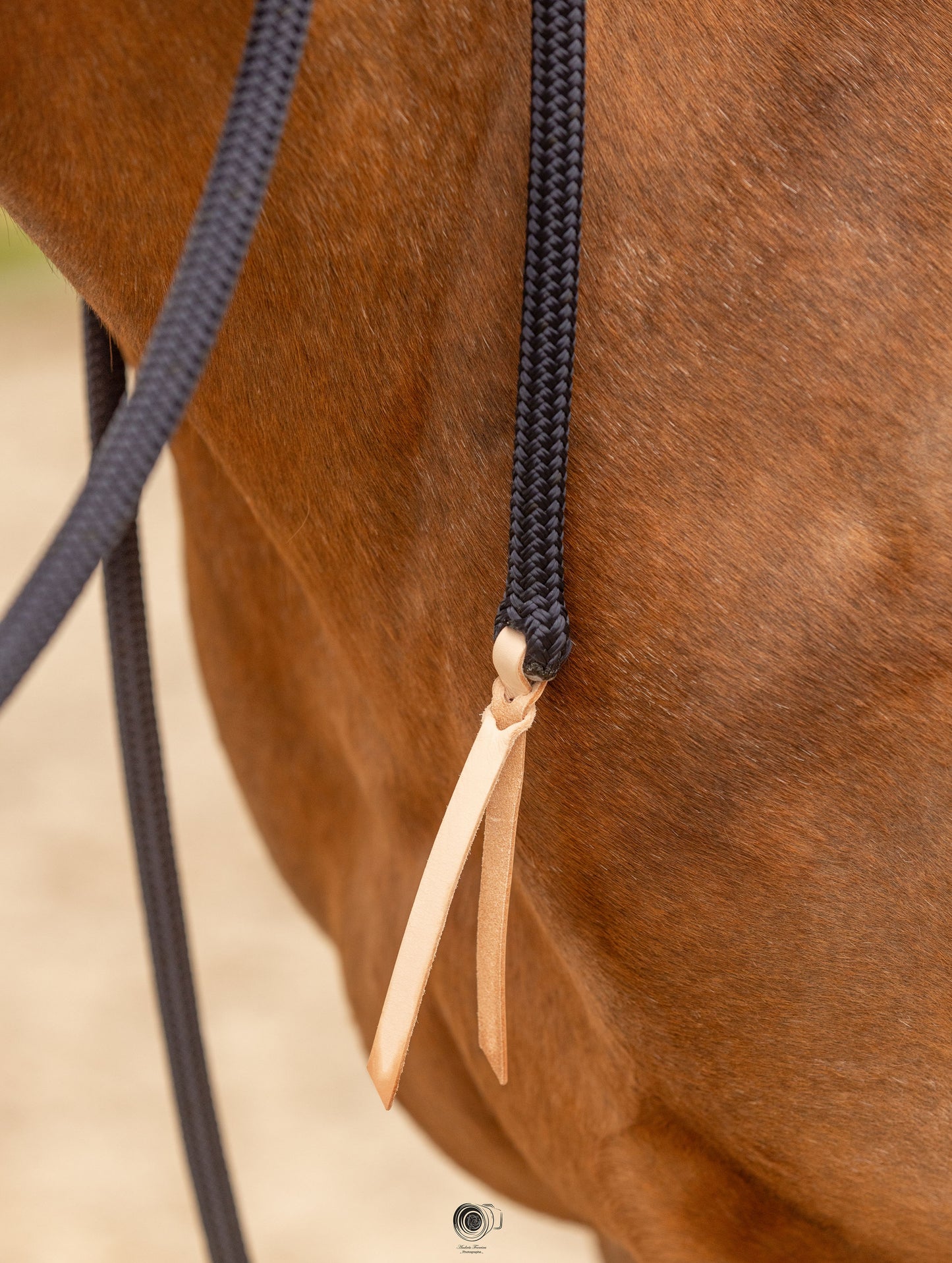 Popper en cuir pour longe