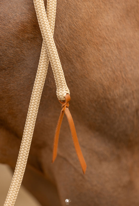 Popper en cuir pour longe