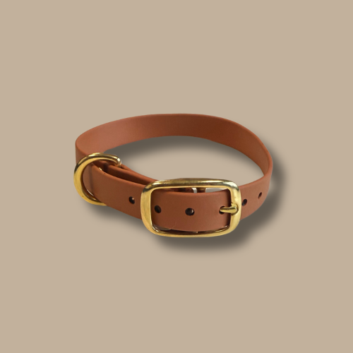 Collier pour chien en Biothane®