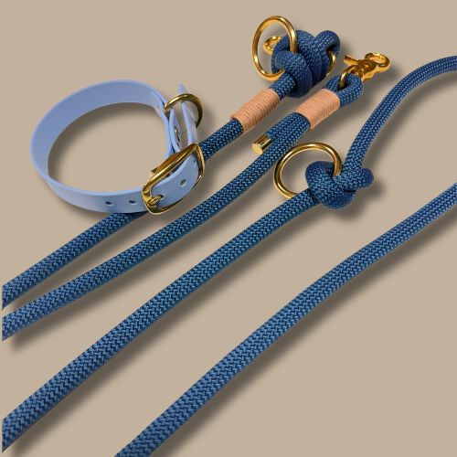 Laisse pour chien en corde bleu