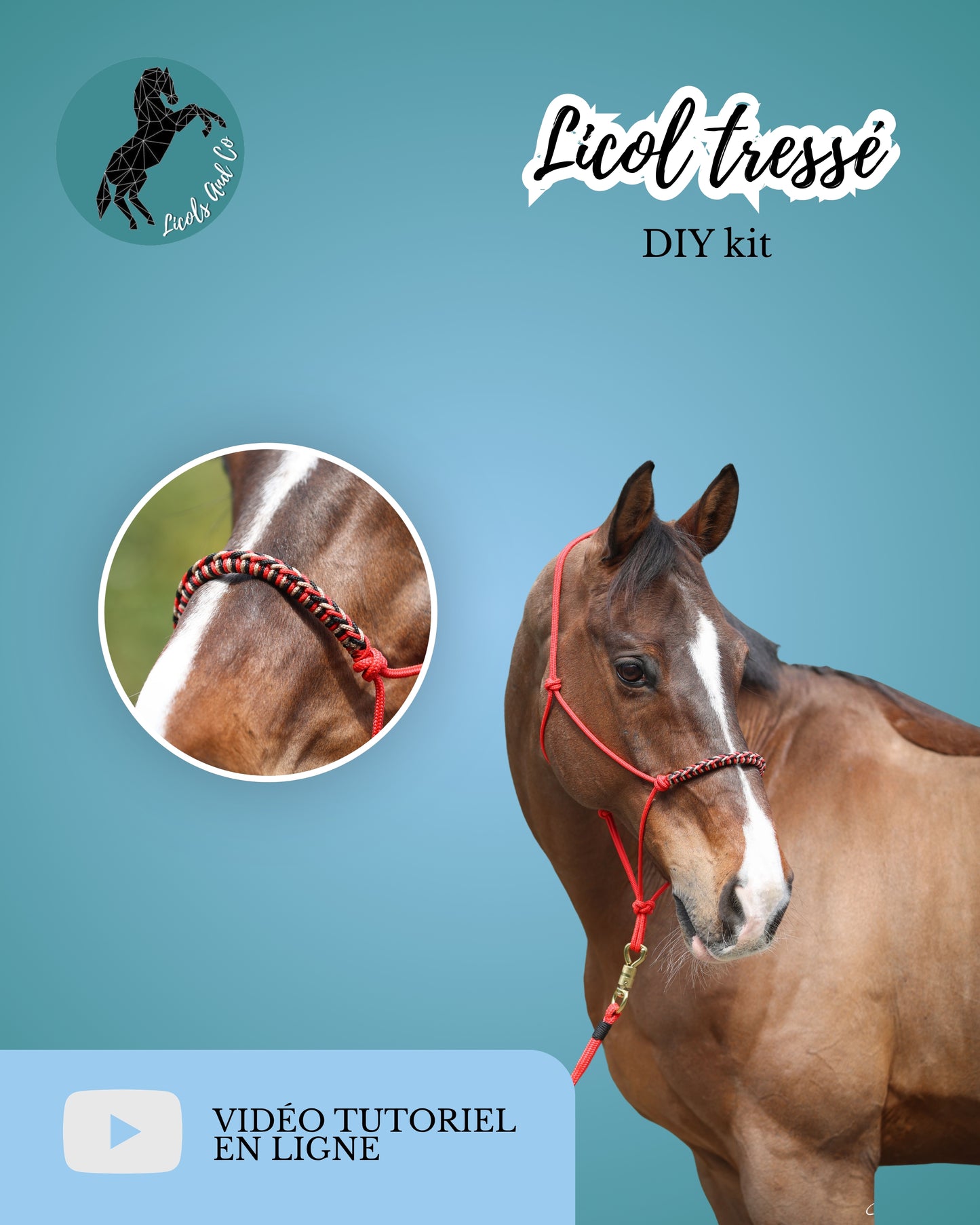 DIY kit tressage de licol