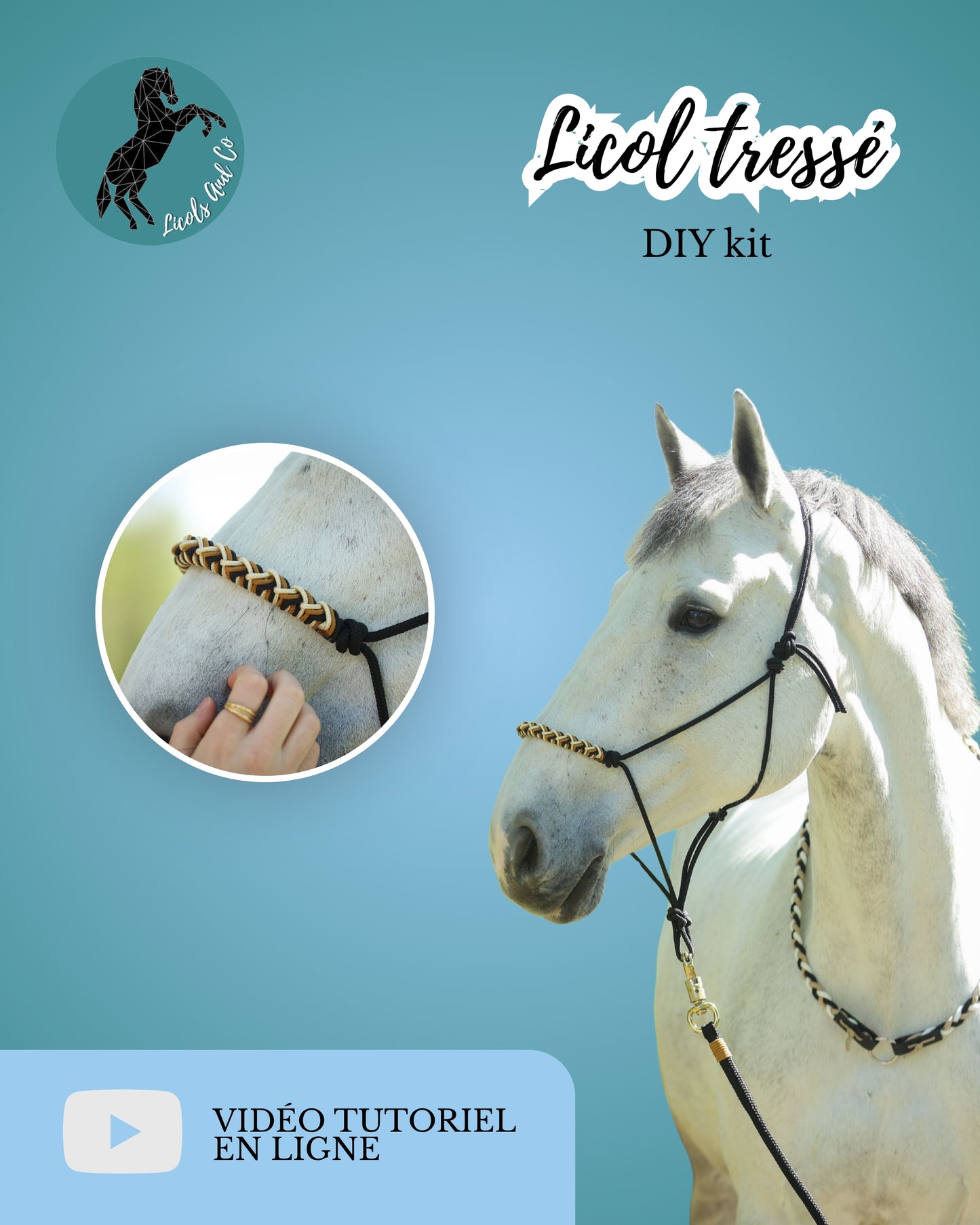 DIY kit tressage de licol