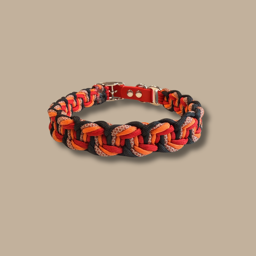 Collier pour chien Rubilo