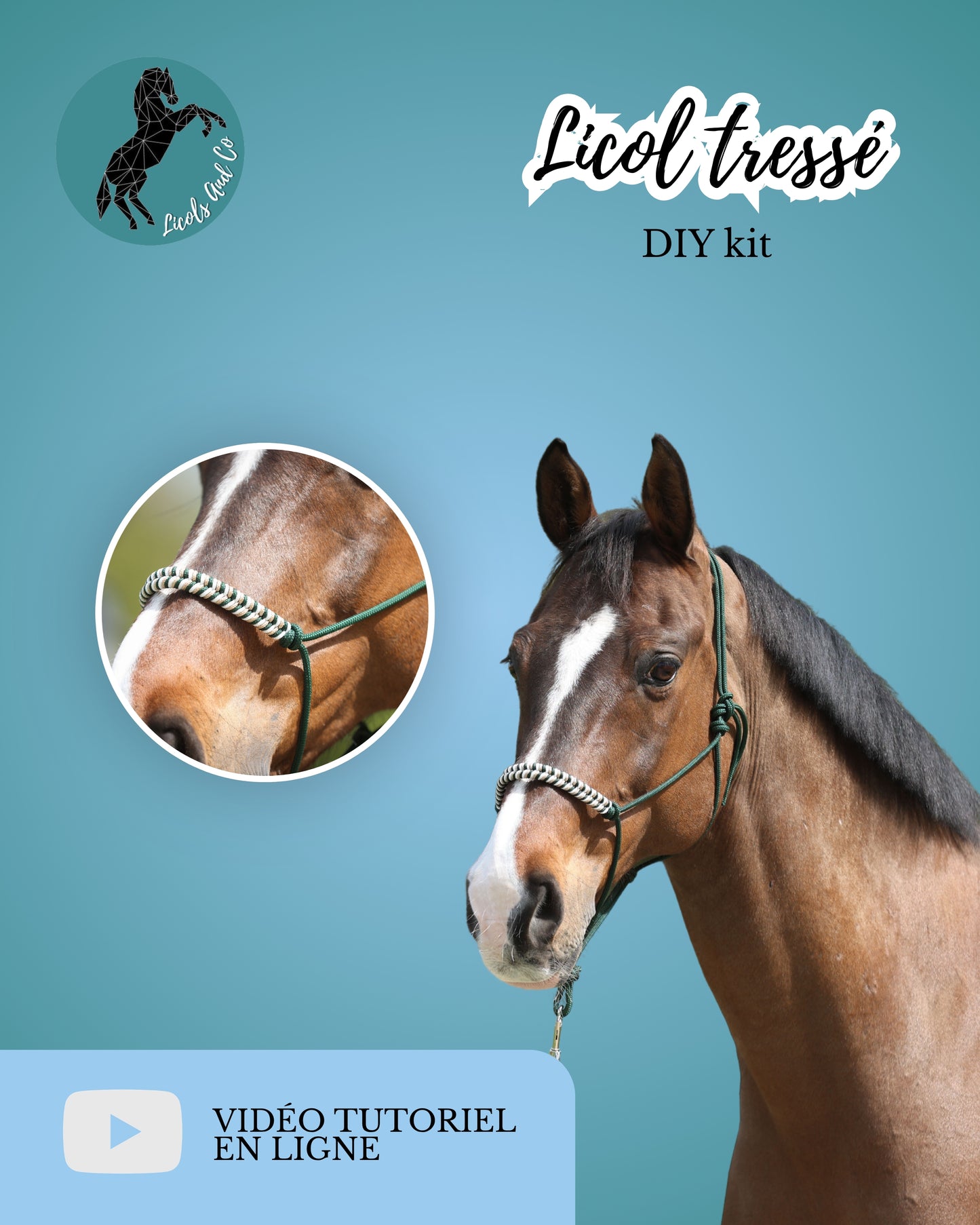 DIY kit tressage de licol