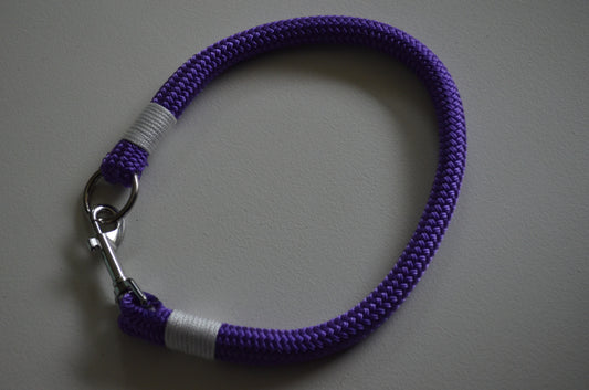 Collier pour chien 55cm