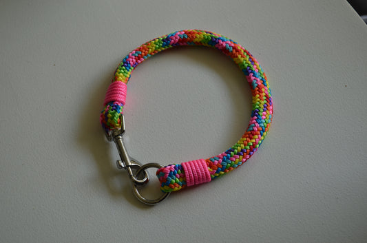 Collier pour chien 45cm