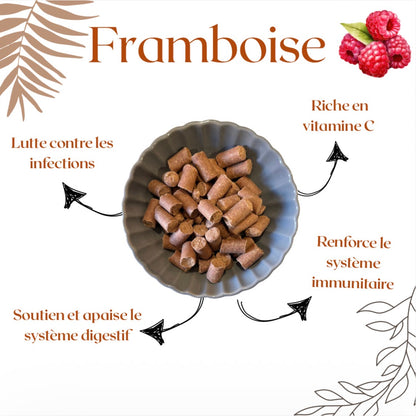 Dada plaisir - Framboise